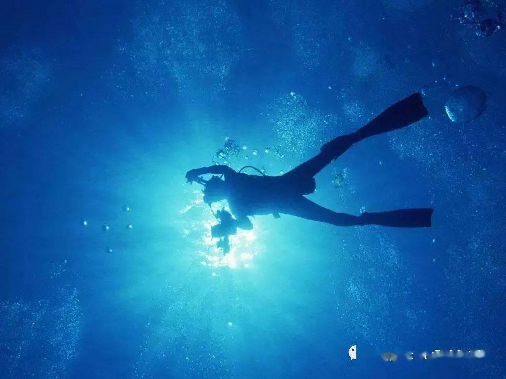 海底世界填颜色5